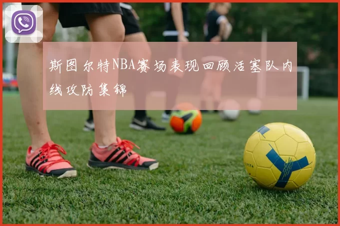 斯图尔特NBA赛场表现回顾活塞队内线攻防集锦
