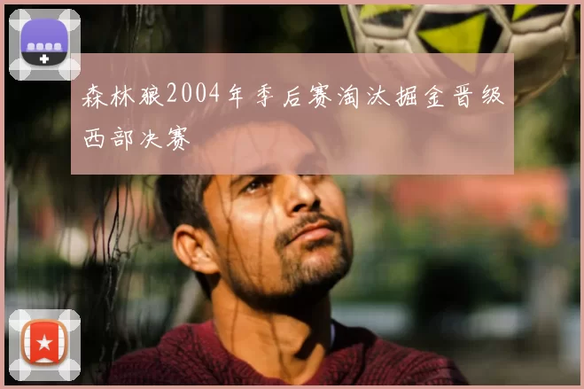 森林狼2004年季后赛淘汰掘金晋级西部决赛