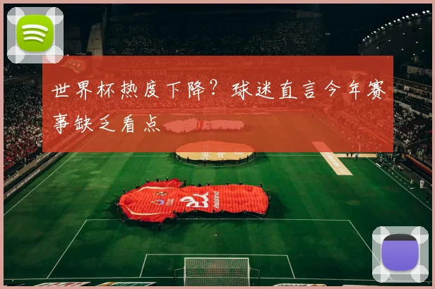 世界杯热度下降?球迷直言今年赛事缺乏看点