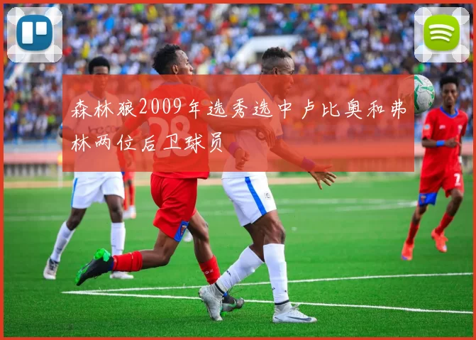 森林狼2009年选秀选中卢比奥和弗林两位后卫球员