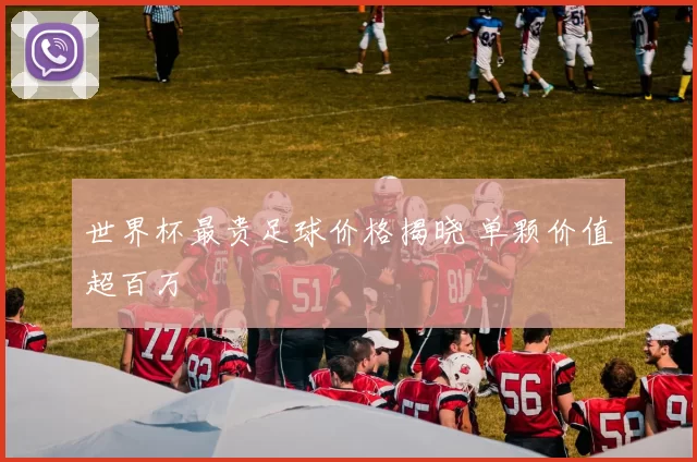 世界杯最贵足球价格揭晓 单颗价值超百万
