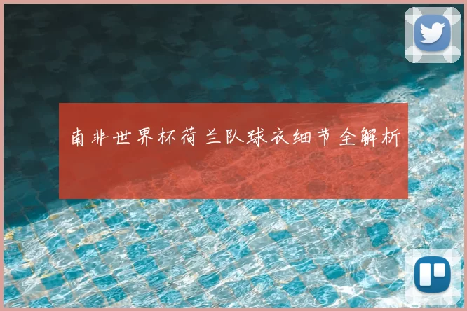 南非世界杯荷兰队球衣细节全解析